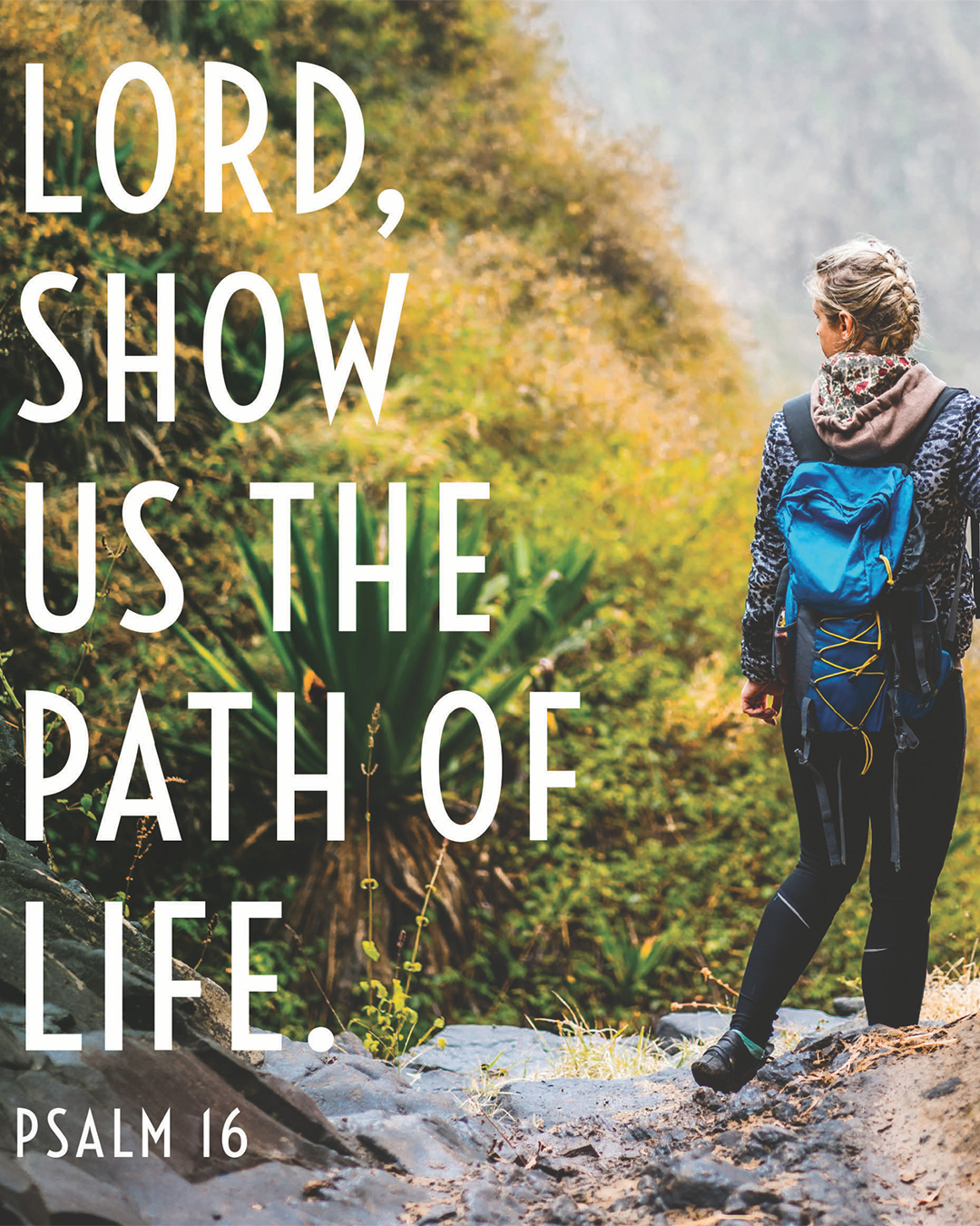 Liturgical Life                                                                                                                                                                                                                                                                                             